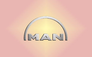 ✓ MAN 51.09901-0055 Прокладка 